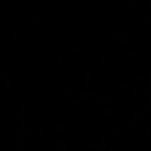 Meet your Posher, Ava